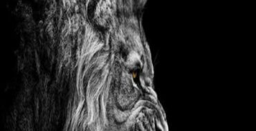ANGER & LOSS